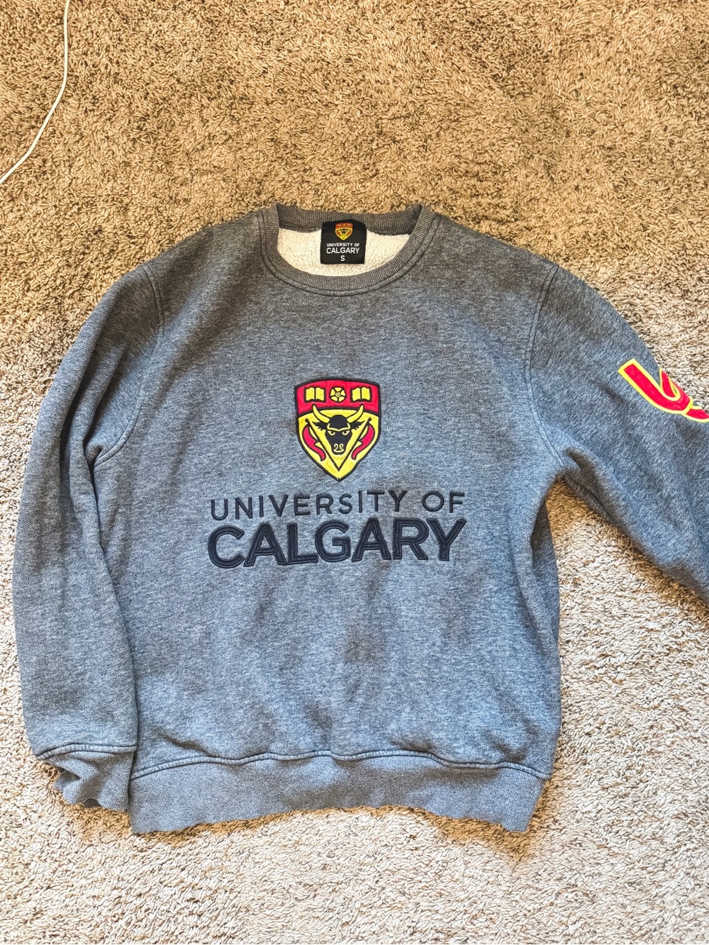 Men's Gray Crewneck Sweatshirt